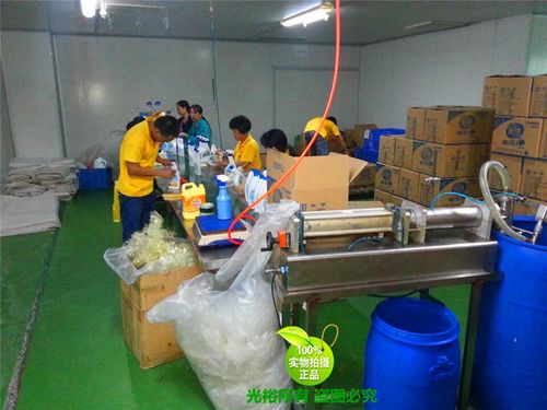 河北洗洁精与洗发水生产设备及技术配方详解 一站式解决方案
